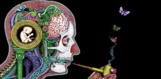 8 Things You Must Know To Be A Free Thinker | K.U-Comrades Forum