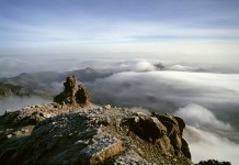 What’s This Fuss About Tribalism, I Keep Hearing About?