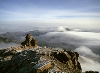 What’s This Fuss About Tribalism, I Keep Hearing About?