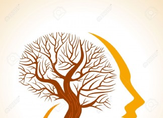 Destined to be Fools