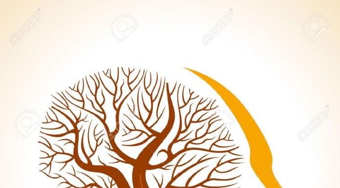 Destined to be Fools