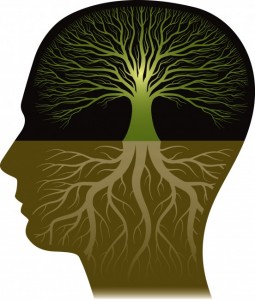 knowledge-552x650