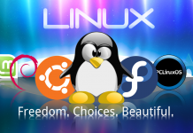 Facts About Linux OS, #1. It Was Founded by A College Student! linus facts