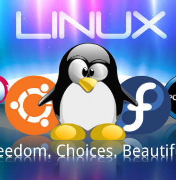 Facts About Linux OS, #1. It Was Founded by A College Student! linus facts