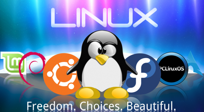Facts About Linux OS, #1. It Was Founded by A College Student! linus facts