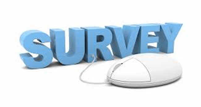 Online student lecturer survey