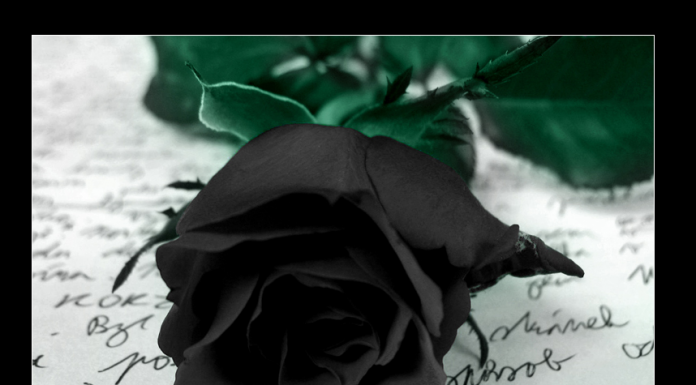 Comrades, As You Go To Bed, Kindly Put K.U in Prayers.