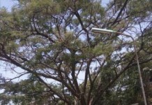 KUSA Gender Secretary Doreen Mwenda Stern Warning to Comrades