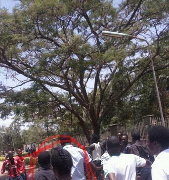 KUSA Gender Secretary Doreen Mwenda Stern Warning to Comrades