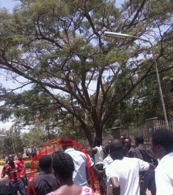 KUSA Gender Secretary Doreen Mwenda Stern Warning to Comrades