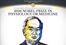 2016 Nobel Prize in Physiology or Medicine to Yoshinori Ohsumi 2016 Nobel Prize in Physiology or Medicine to Yoshinori Ohsumi