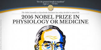 2016 Nobel Prize in Physiology or Medicine to Yoshinori Ohsumi 2016 Nobel Prize in Physiology or Medicine to Yoshinori Ohsumi