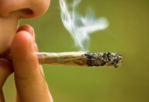 Weed Is Not More Dangerous Than Alcohol Weed Is Not More Dangerous Than Alcohol