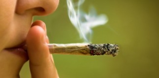 Weed Is Not More Dangerous Than Alcohol Weed Is Not More Dangerous Than Alcohol