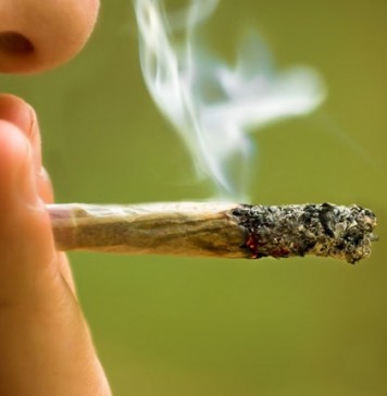 Weed Is Not More Dangerous Than Alcohol Weed Is Not More Dangerous Than Alcohol