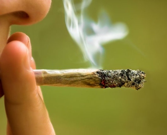 Weed Is Not More Dangerous Than Alcohol Weed Is Not More Dangerous Than Alcohol