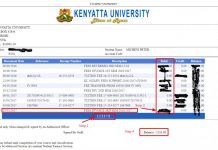 How to Check Kenyatta Uni Fee Balance Via Students Portal