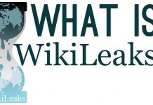 What is WikiLeaks?