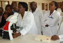 Kenyatta University Fees Structure for Undergraduate, Diploma & Certificate Programmes Kenyatta University Fees Structure for Undergraduate, Diploma & Certificate Programmes