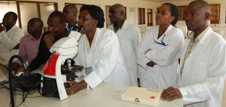 Kenyatta University Fees Structure For Undergraduate Diploma 