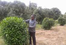 KU’s Dr. Meshack Onyambu’s Paper on Herbal Products on KEBS Agenda KU's Dr. Meshack Onyambu's Paper on Herbal Products on KEBS Agenda