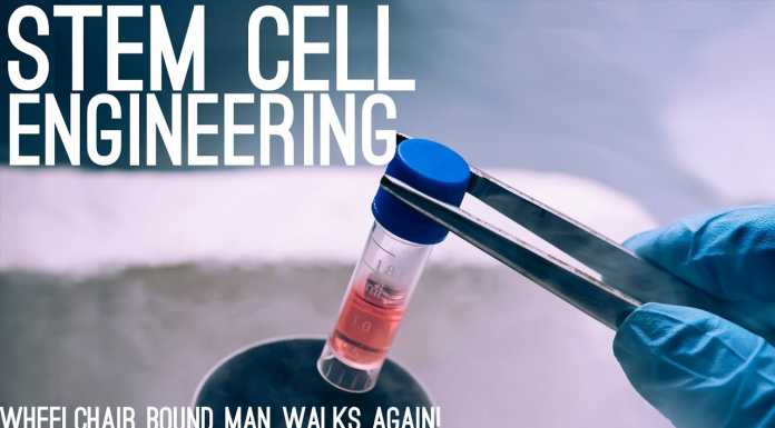 Wheelchair-bound Man Walks Again After Stem Cell Injections!