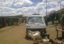 KU – Githurai Crazy Matatu Stickers KU - Githurai Crazy Matatu Stickers