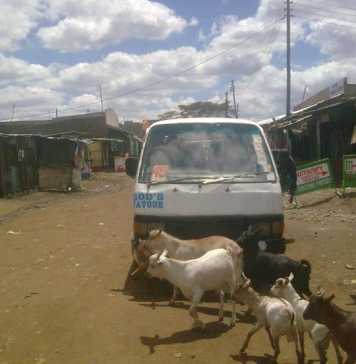 KU – Githurai Crazy Matatu Stickers KU - Githurai Crazy Matatu Stickers