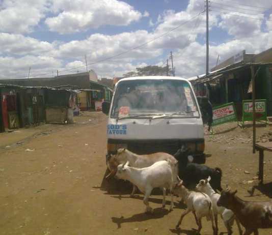 KU – Githurai Crazy Matatu Stickers KU - Githurai Crazy Matatu Stickers