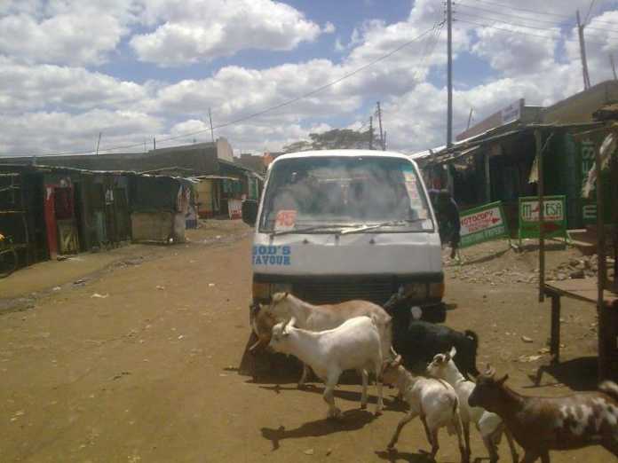 KU - Githurai Crazy Matatu Stickers