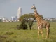 Best Places to Visit in Nairobi as A Tourist Best Places to Visit in Nairobi as A Tourist